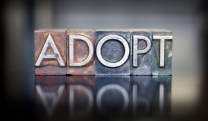 Adopt