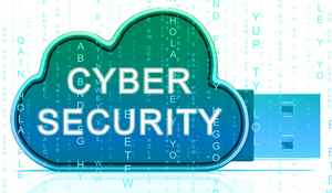 Cyber Security in a non-profit organization 