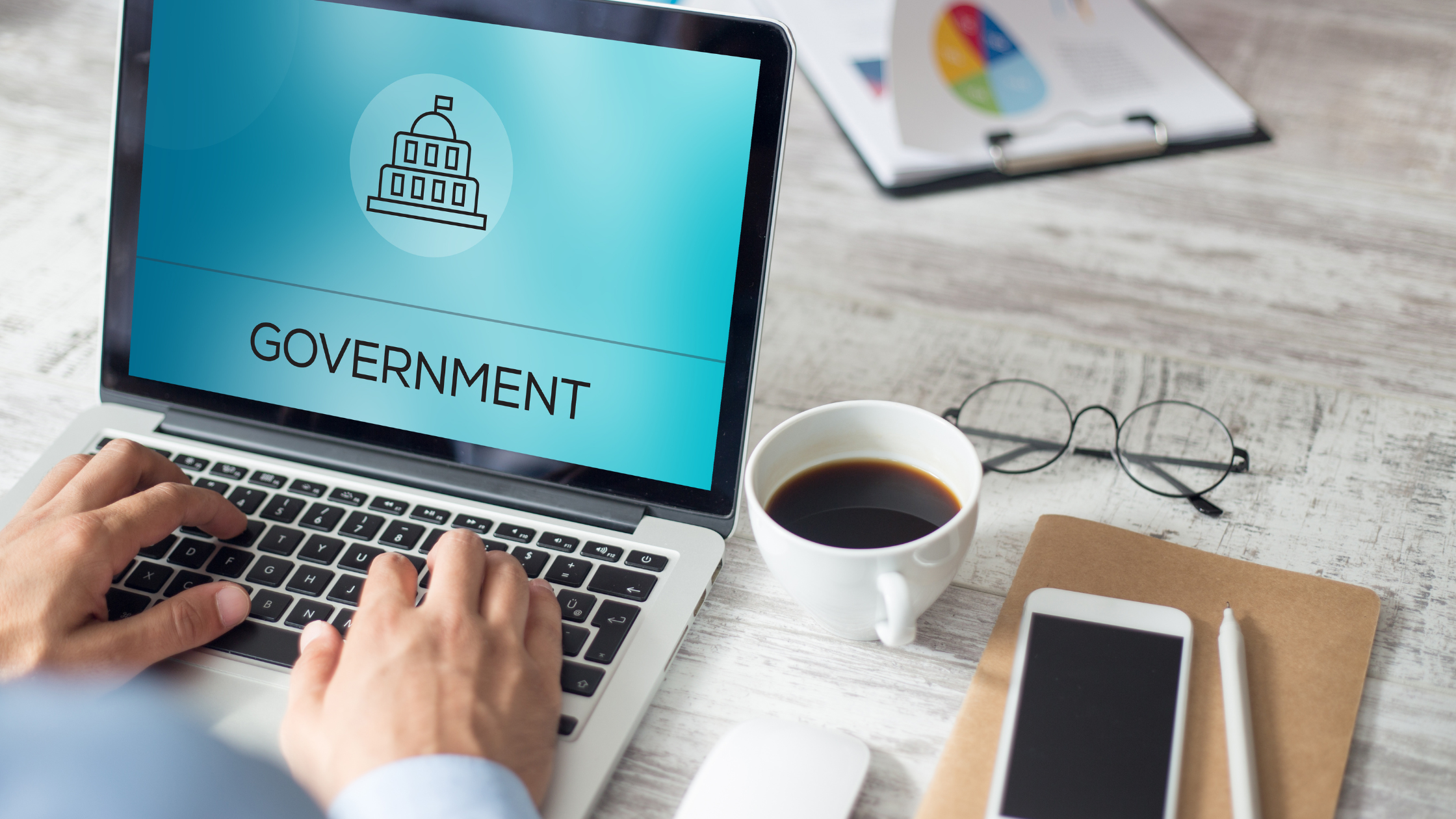 The effect of software for government 