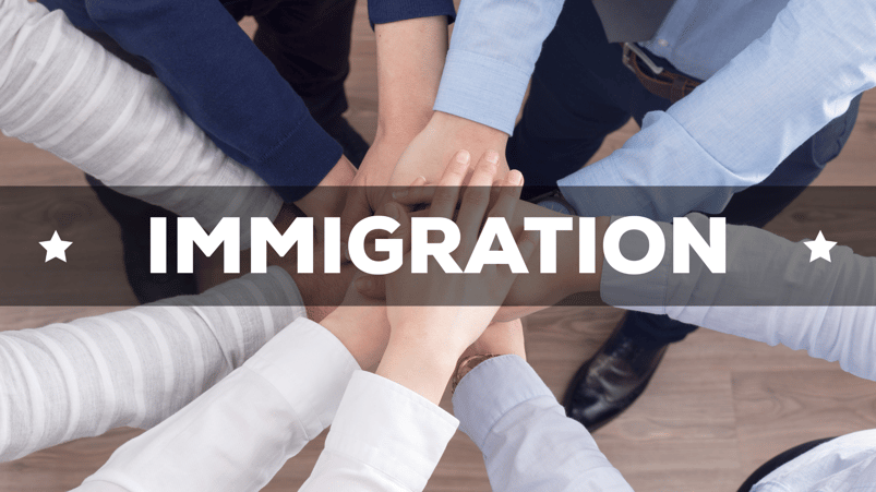 Immigration and human services 