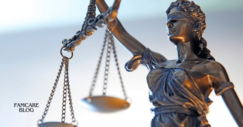 Juvenile Justice Case Mangement Software Success 