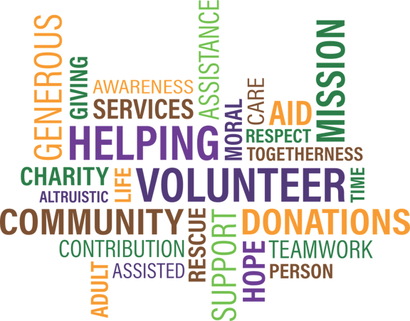 Nonprofit Profile